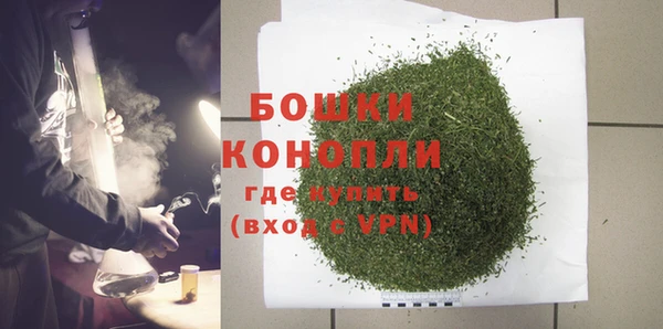 крисы Костерёво