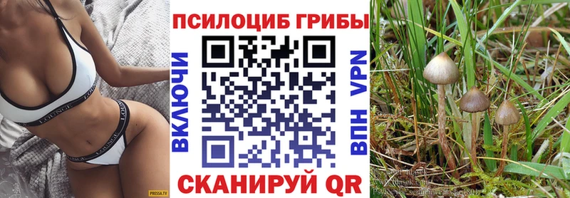 Галлюциногенные грибы Cubensis Верхняя Пышма