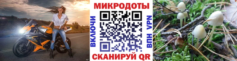 продажа наркотиков  Верхняя Пышма  Псилоцибиновые грибы мицелий 