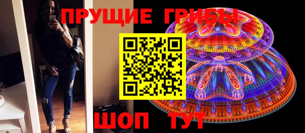 Псилоцибиновые грибы прущие грибы Верхняя Пышма