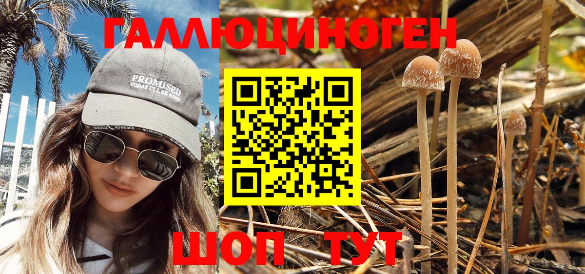 Верхняя Пышма  Псилоцибиновые грибы MAGIC MUSHROOMS  Вход с VPN 
