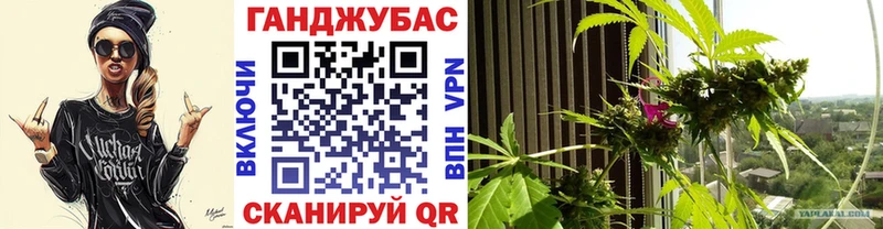 Конопля Ganja  Верхняя Пышма 