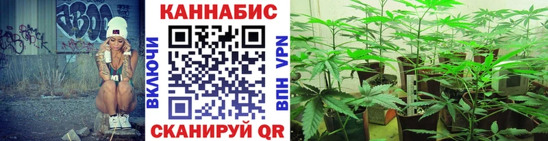 Каннабис MAZAR Верхняя Пышма